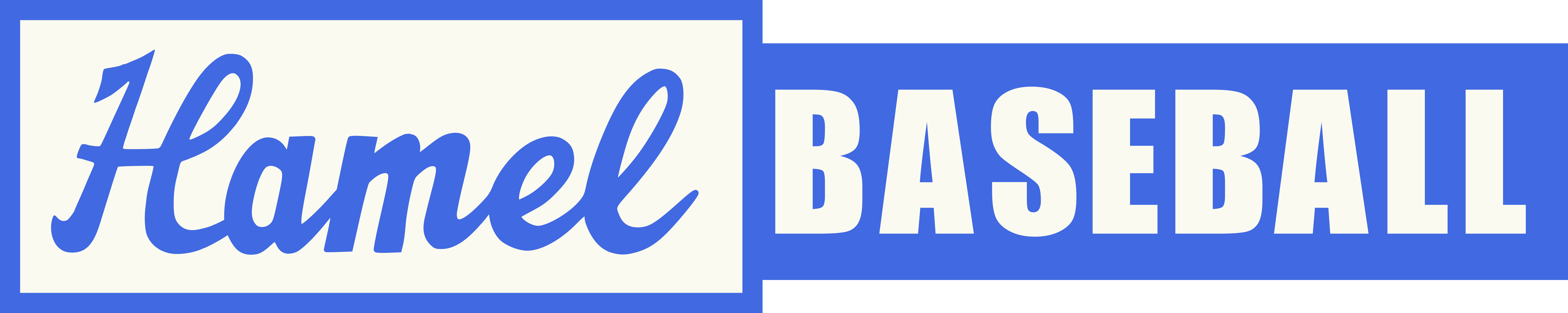 Hamel Hawks wordmark